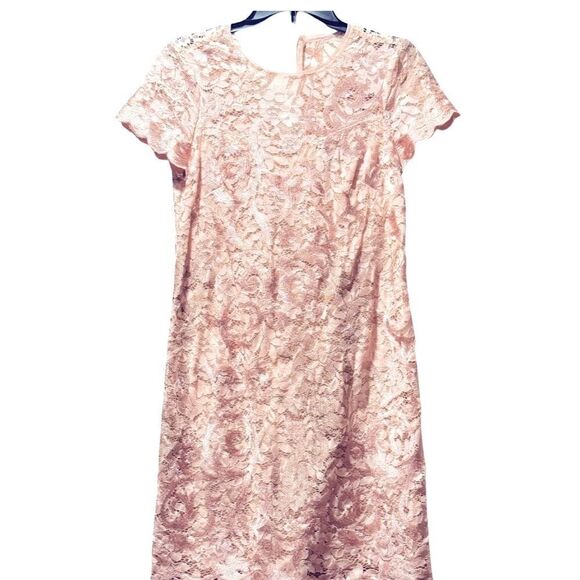 Adrianna Papell Women's Lace a Line Shift Dress Joyful Blush Wedding Lace dress - Picture 6 of 12